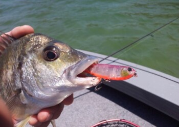 Kustomise your lures